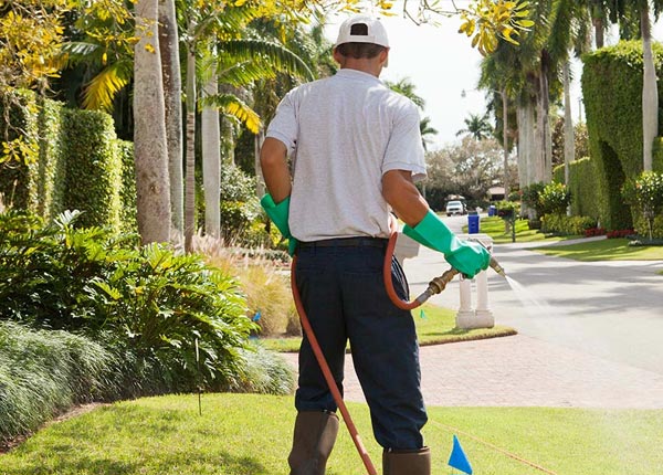 About Beeson WV Pest Control